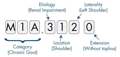 ICD-10 Format