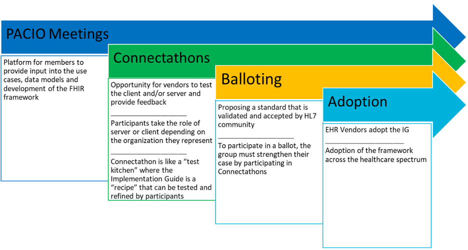 Conceptual timeline of IG development